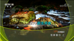   央视《雪峰香谷（上集）》